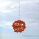 꽃이랑개랑 이미지
