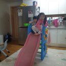 새벽배송은 환경오염,,, &amp; 변기배관에막힌물건빼는방법 (2/28)