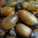 동네음식점 이미지