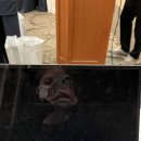 초이컴 이미지