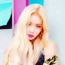 홀라스튜디오 이미지