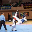 태권도백제체육관 이미지