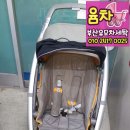 윰차부산유모차세탁 이미지