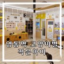 영통중앙공원 | (영통역 고양이 카페) 고양이별 작은아이 중앙공원 광장 수원 영통동 추천!