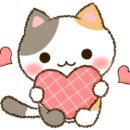 지영메디텍 네이버블로그