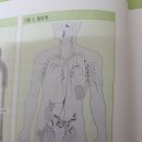 더조은한방병원 네이버블로그