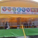 씨에코비치 이미지