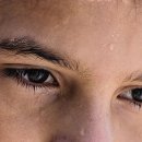 샵()인형뽑기 이미지