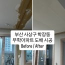 경남개나리벽지