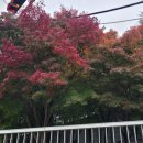 흥부공원 앞　 이미지