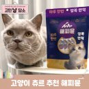 간식당 | 고양이 츄르 간식 추천 면역력에 좋은 해피뮨 후기