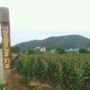 골말농장 이미지