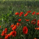 프라하1 이미지