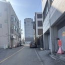 다이소 도동점 | 천안 성정동 애견미용실 [멍띠끄] 내돈내산 솔직후기