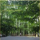 안산자락길 숲속카페 | 서울 서대문 안산자락길 가는 방법 소요시간 / 연희숲속쉼터 홍제천 인공폭포 카페까지 걷기 좋은 코스