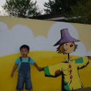 두동편백 이미지