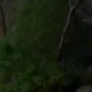 정발산역 이미지