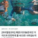 힐링섬 코스 | 코타키나발루 여행 만족스러웠던 사피섬 마누칸섬 호핑투어 추천 후기 (마이힐링코타 예약 가격, 코스)