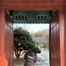 낙성대 공원 | 산책코스로 추천하는 낙성대공원 후기