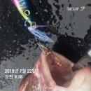 팀인천 루키나호 네이버블로그