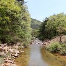 솔수펑이족욕카페 이미지