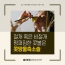 울산비비성형외과의원 이미지