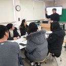금성초 이미지