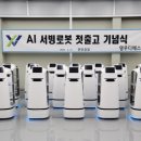 디에스피 이미지