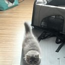 (주)재재투어 이미지