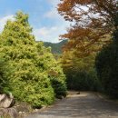 언덕위에하얀집 이미지