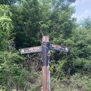 유천리 삼거리 이미지