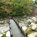 서면사무소(양양) 이미지