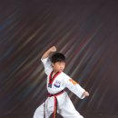 상록키즈태권도 이미지