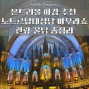 캐나다 몬트리올여행 밤엔 여기! 노트르담대성당 아우라쇼 AURA 자리 팁+예매정보