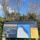 Sanctuary | 멜버른 숨은 바다 명소 Ricketts Point Marine Sanctuary 방문 후기 산책·스노클링·힐링 스팟