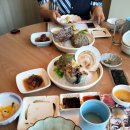 세종시일식전문점 이태형의 메구미에서 저녁특선 먹은 후기