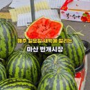 의성떡집 - 포항시 북구 창흥로 7-1 | 마산 댓거리 새벽시장 번개시장 위치 시간 주차 수박 시세