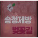 송정제방 이미지
