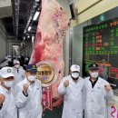 김용우농장 이미지