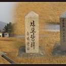 부평3리 이미지