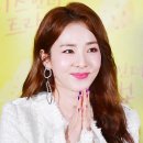 트랩어필 이미지