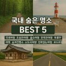 신성리생태공원 | 국내 숨은 명소 BEST 5 – 북적임 없이 떠나는 특별한 여행