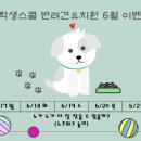 견학생스쿨 이미지