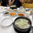 서해땅끝파도리아치내캠핑장 | 40개월 아기랑 캠핑: 태안 서해땅끝 파도리아치내 캠핑장