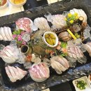 오산목장 | 오산 바다회목장 내돈내산 추천4인메뉴 10만원 코스 후기