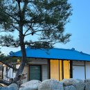 돌담 민박 이미지