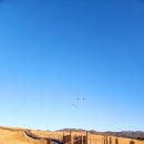 세원목장 이미지