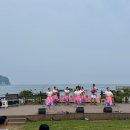 알로하제주 이미지
