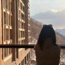 레스트리 리솜 s30 타워클린 룸 , 룸서비스 막걸리 반상
