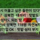 좋은땅공인중개사사무소 이미지